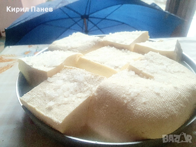 БИО домашно сирене , снимка 9 - Домашни продукти - 51935933
