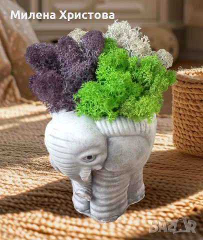 Кашпа със скандинавски мъх 