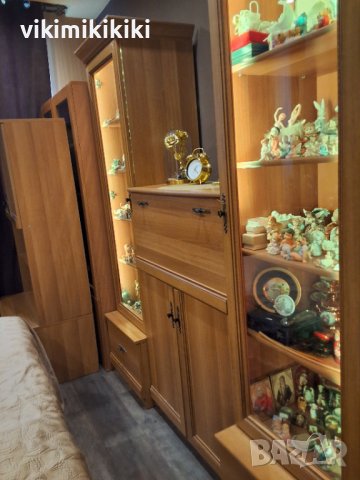 витрина за документи/ колекции със заключване., снимка 2 - Секции и витрини - 43812962