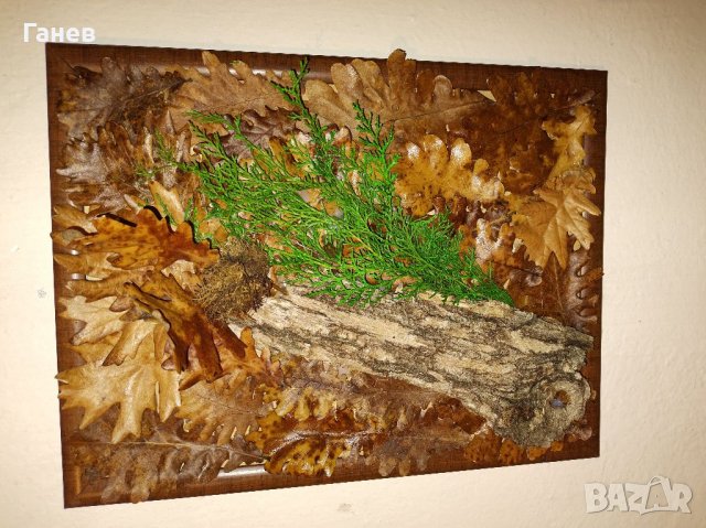 Жива картина стабилизирани дъбови листа, снимка 2 - Картини - 39364860