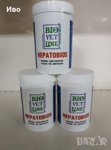 Hepatobios , снимка 6 - Папагали - 48365283