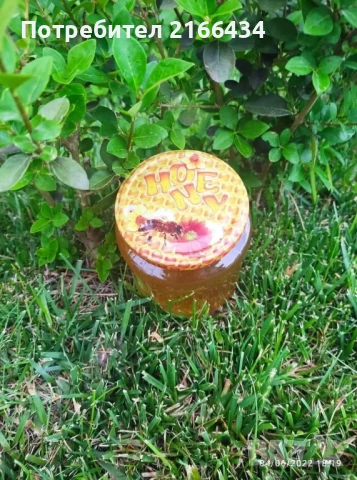 пчелен мед, снимка 3 - За пчели - 51159054