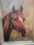 Стара авторска картина -Кон-масло,подписана, снимка 3