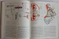 Книга за автомобили на Bosch от 1975 г. на английски език, снимка 11
