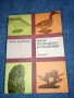 Ефтим Ламбрев - Кратко ръководство за препариране , снимка 1
