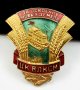 Стара съветска значка-СССР-Руски знак-Топ емайл-Винт-Съветски значки, снимка 4