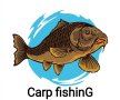 Самозалепващ стикер за риболов, лепенка за шаран,3D стикер за риболов,стикер с шаран , снимка 1 - Екипировка - 40400732