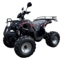 Електрическо ATV – Grizzly 2500W (Черен), снимка 1