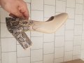 Обувки, снимка 1 - Дамски ежедневни обувки - 39555085