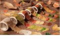 50 бр хартиени есенни листа ролка самозалепващи лепенки стикери за декорация крафт картички и др, снимка 3
