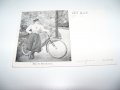 Стара немска пощенска картичка с Marie Barkany с велосипед, снимка 5