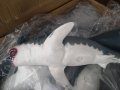 Голяма силиконова акула от филма  "Челюсти", снимка 3