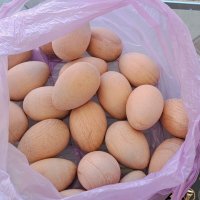 Дървени яйца на бяла заготовка., снимка 8 - Други - 37963297