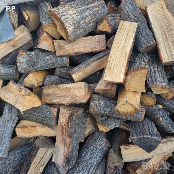 Дъбови дърва , снимка 1