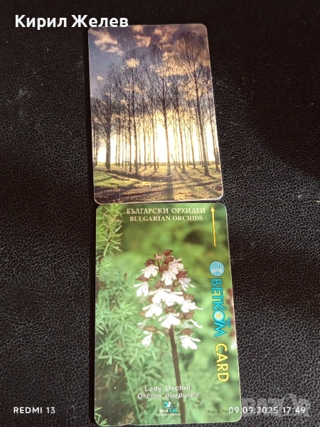 Две фонокарти БЕТКОМ,БУЛ ФОН тема ОРХИДЕЯ,ПРИРОДА за КОЛЕКЦИЯ ДЕКОРАЦИЯ 33468, снимка 1
