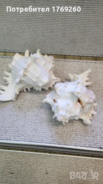 Продавам мидена декорация!, снимка 1