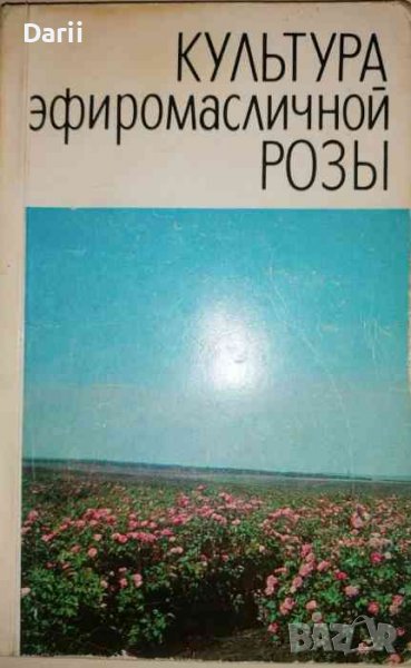 Культура эфиромасличной розы, снимка 1