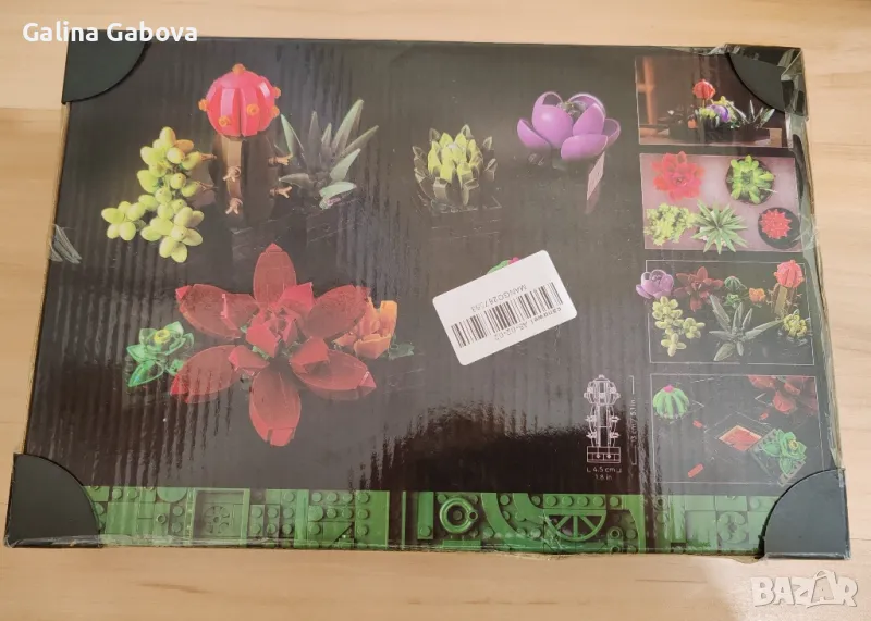 Конструктор " Succulents" , снимка 1