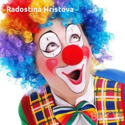 Аниматор за детско парти на избрано от Вас място, снимка 1