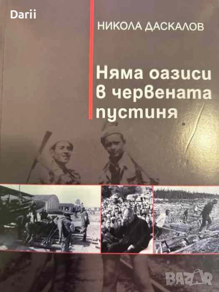 Няма оазиси в червената пустиня- Никола Даскалов, снимка 1