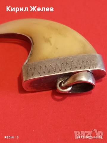 Сребърен медальон с тигров нокът с Индийски дизайн и сребърен обков 51789, снимка 8 - Колиета, медальони, синджири - 52863699