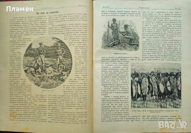 Природа. Кн. 1-9 / 1923, Пътешественикъ. Бр. 1-12 / 1897, Илюстрация Светлина: Юбилейна книга / 1918, снимка 3 - Антикварни и старинни предмети - 53353555