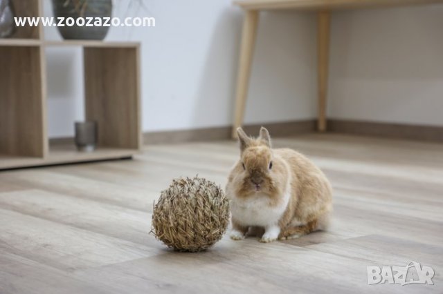 Топка от сено за Гризачи - Модел: 82768, снимка 2 - За гризачи - 38804969
