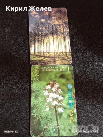 Две фонокарти БЕТКОМ,БУЛ ФОН тема ОРХИДЕЯ,ПРИРОДА за КОЛЕКЦИЯ ДЕКОРАЦИЯ 33468