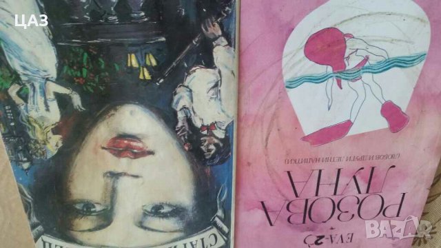 речници ,книги и енциклопедии, снимка 2 - Художествена литература - 28988687