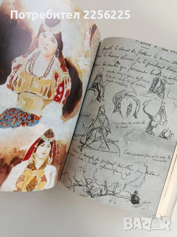 Дневникът на Йожен Дьолакроа, снимка 9 - Художествена литература - 52726224