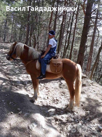 Продавам две  седла, снимка 3 - Други стоки за животни - 52914856