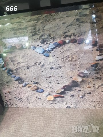 Картини, снимка 2 - Картини - 43161938