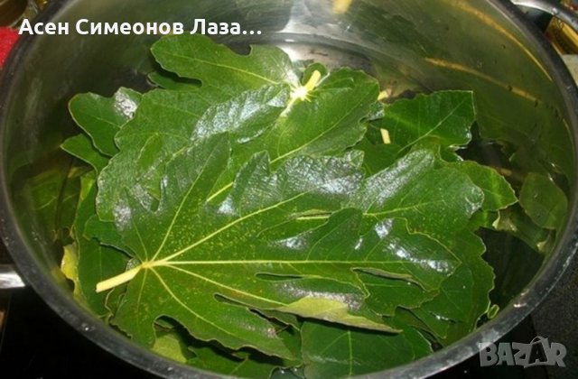 Предлагам смокинови листа от Гърция и специална рецепта за чай! И ОТНОВО НЕЩО ПОЛЕЗНО Пийте най-аром, снимка 5 - Домашни продукти - 34617770