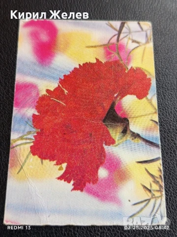 Старо календарче 86г. серия цветя за КОЛЕКЦИЯ ДЕКОРАЦИЯ 35358, снимка 2 - Колекции - 51223665