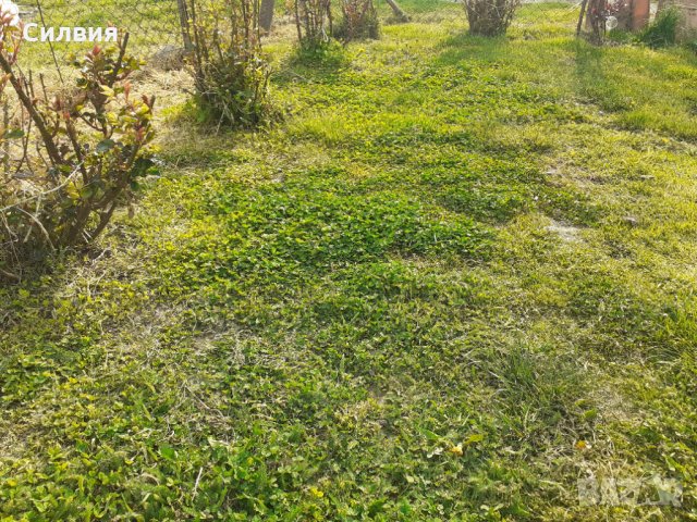 Косене на треви, храсти и рязане на клони. Почистване на дворни места и парцели. КАРЛОВО-СОПОТ-др., снимка 1