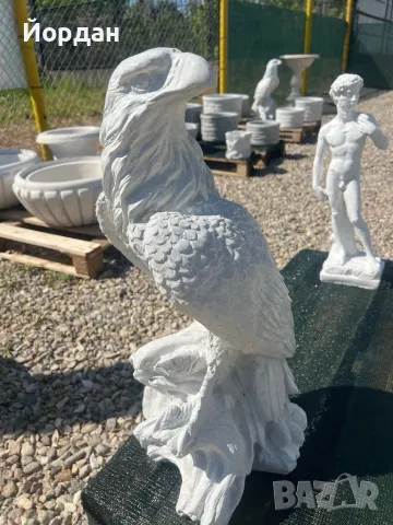 Градински Орел голям 