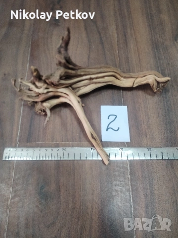 Корени за аквариум, терариум, паладиум , снимка 2 - Аквариуми - 44083269