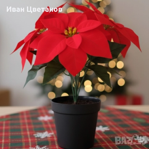 Вечна празнична Коледна звезда – реалистична украса