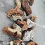 Естествен камък за вашия дом, аквариум и алпинеум, снимка 14