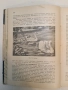 Животнитѣ от биологично гледище - Борис Митов (1935, Луксозна изработка, Отлично състояние), снимка 15