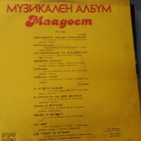 Музикален албум Младост, снимка 2 - Грамофонни плочи - 37894769