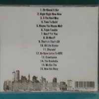 Beastie Boys – 2004 - To The 5 Boroughs(Pop Rap,Conscious), снимка 6 - CD дискове - 43746077