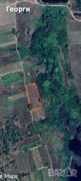 2.3 дка. лозе в Капитан Андреево, снимка 1