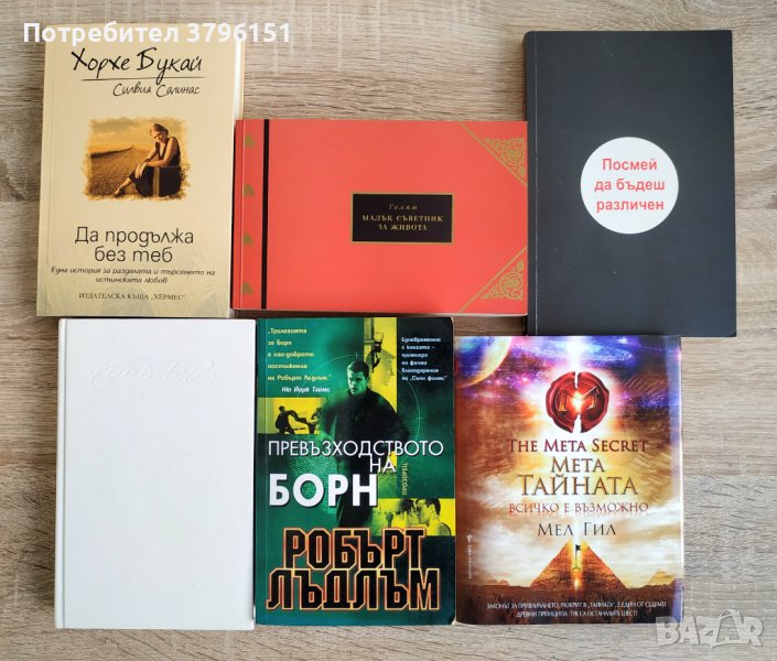 Книги, романи, обучение, самоусъвършенстване, бизнес успех, снимка 1