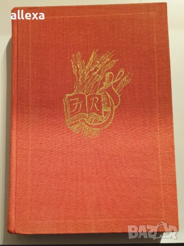 " Мъдростта на чудака ", снимка 1