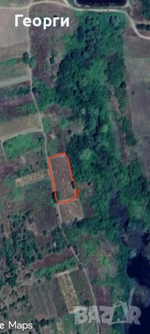 2.3 дка. лозе в Капитан Андреево