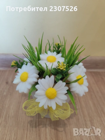 Маргаритки 