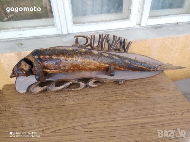 Трофей, Риболовен трофей щука от ДУНАВ, на над 50 години, снимка 6 - Декорация за дома - 37053412