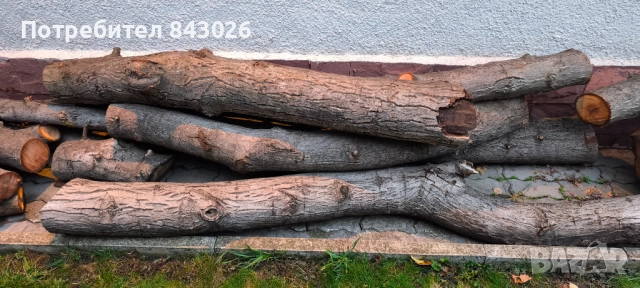 Продавам орехови трупи , снимка 5 - Дърводелски услуги - 52326046