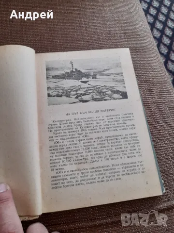 Книга Белият материк, снимка 3 - Художествена литература - 49561654